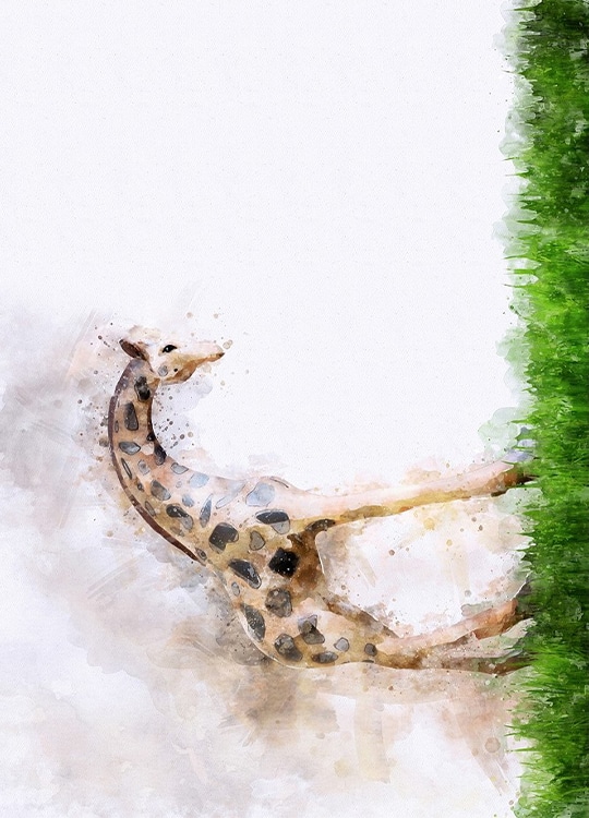 giraffe-watercolour-poster-1-2.jpg