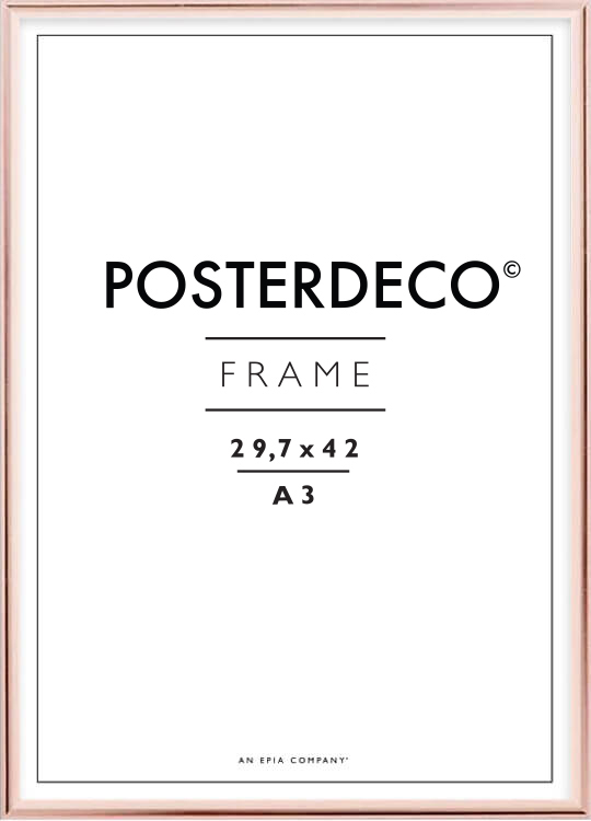 rose-poster-frame-29-7x42-cm-a3