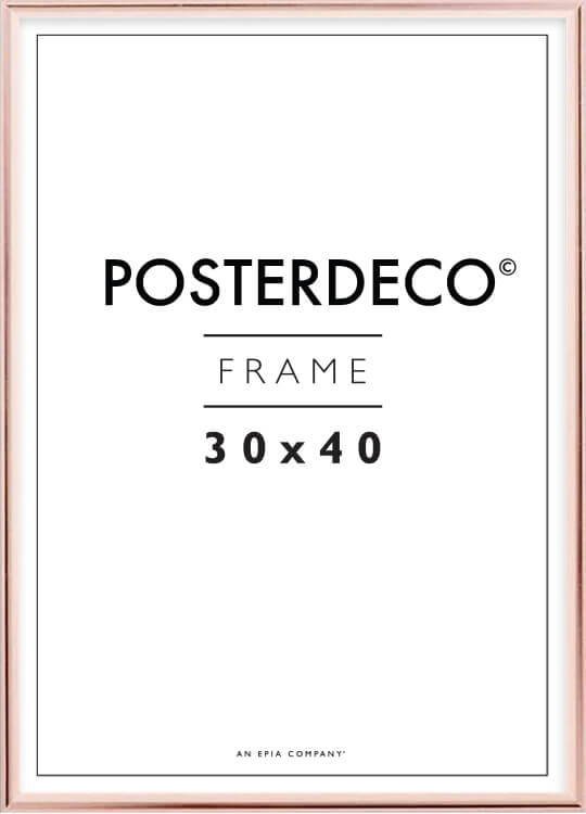 Rose Poster Frame 30x40cm